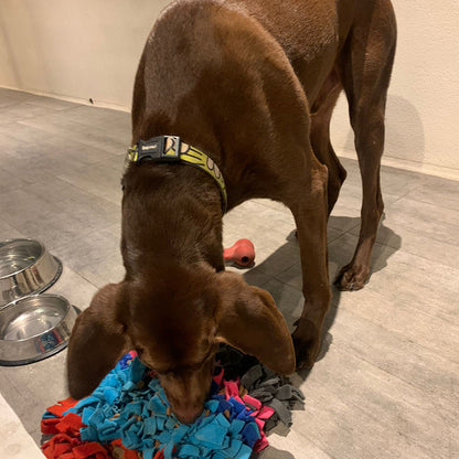 Alfombra Olfativa Mascotas 25x25 Cm